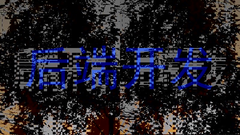 后端开发