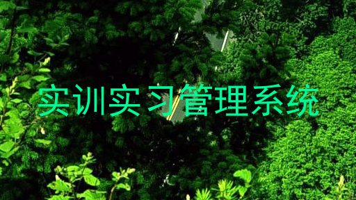 实训实习管理系统