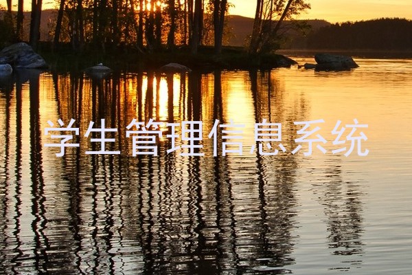 学生管理信息系统