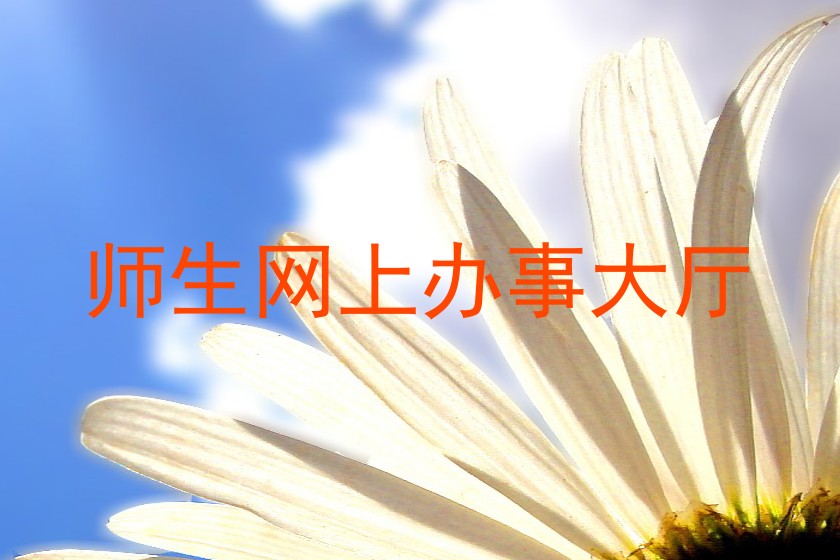 师生网上办事大厅