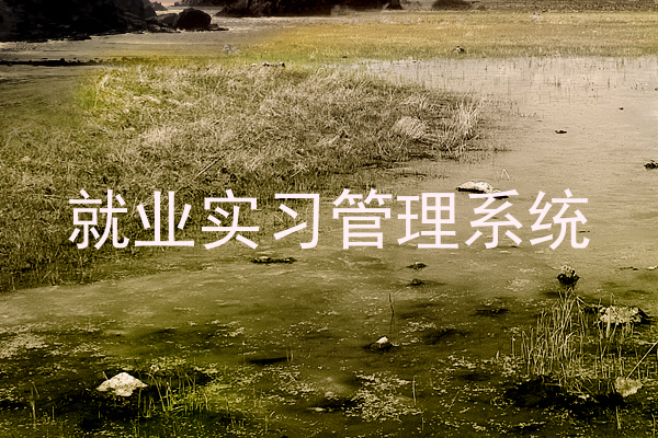 就业实习管理系统