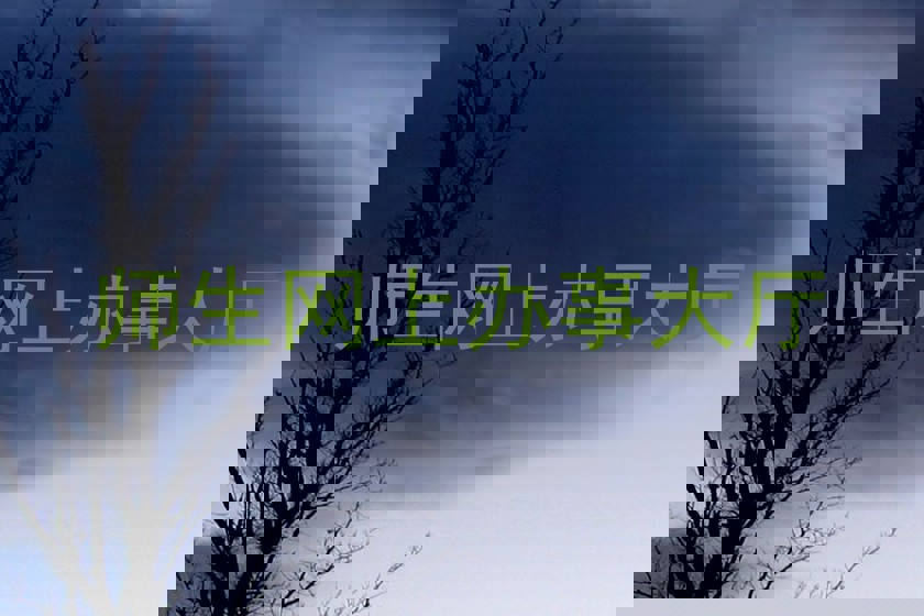 师生网上办事大厅