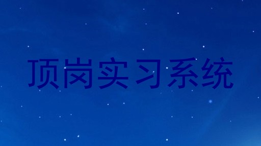 顶岗实习系统