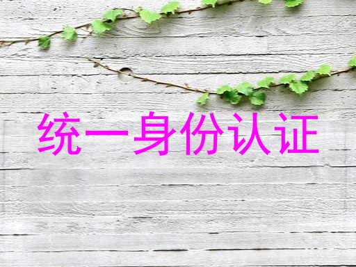 统一身份认证