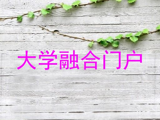 大学融合门户