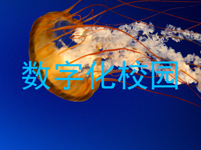 数字化校园