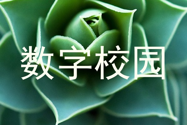 数字校园