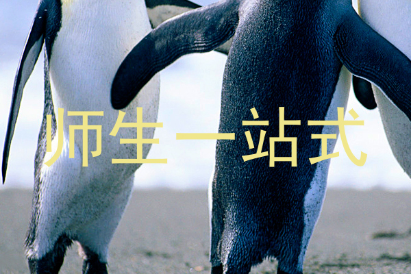 师生一站式