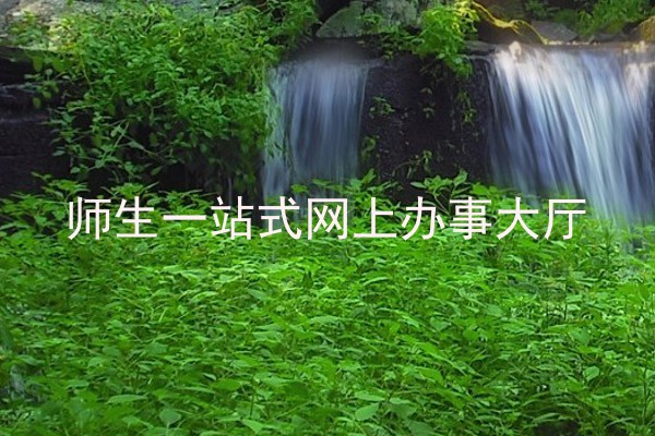 师生一站式网上办事大厅