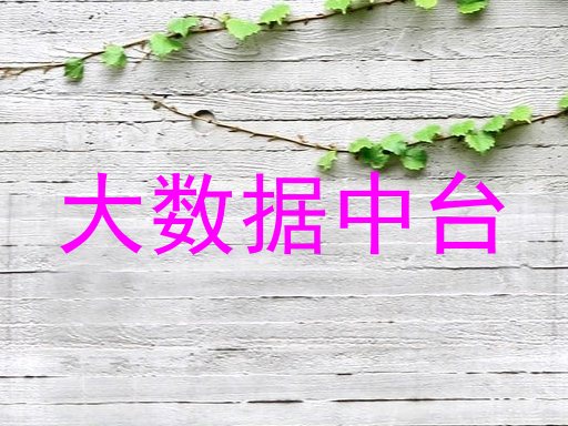 大数据中台