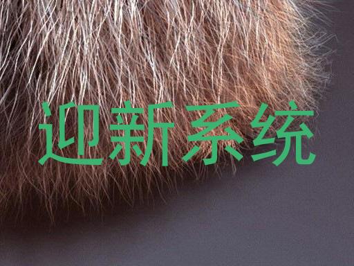迎新系统