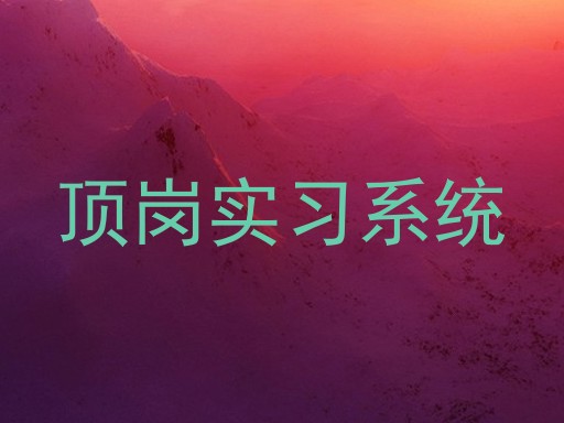 顶岗实习系统