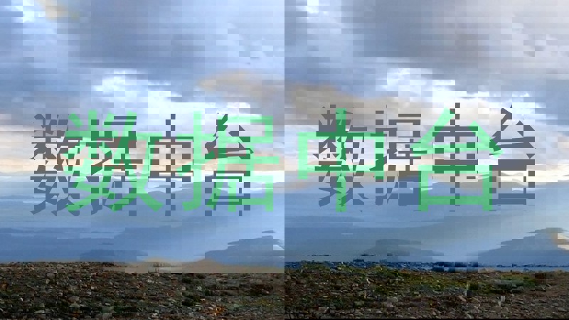 数据中台