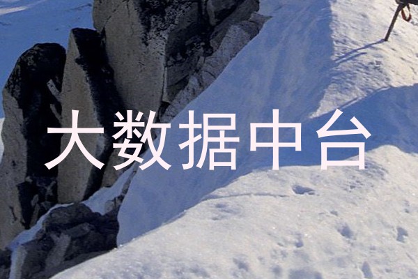 大数据中台