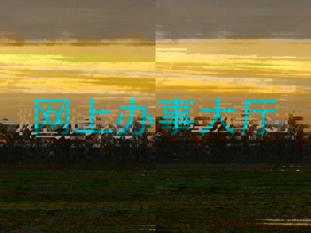 网上办事大厅