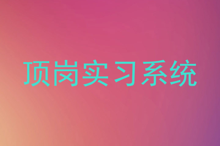 顶岗实习系统