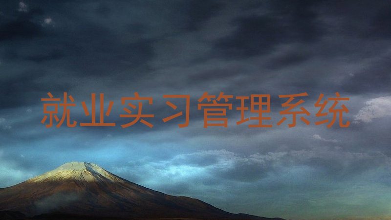 就业实习管理系统