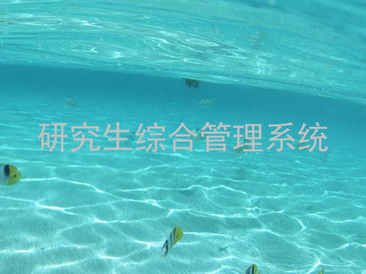 研究生综合管理系统