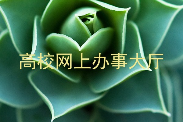 高校网上办事大厅