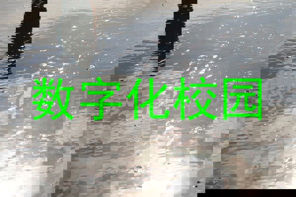 数字化校园