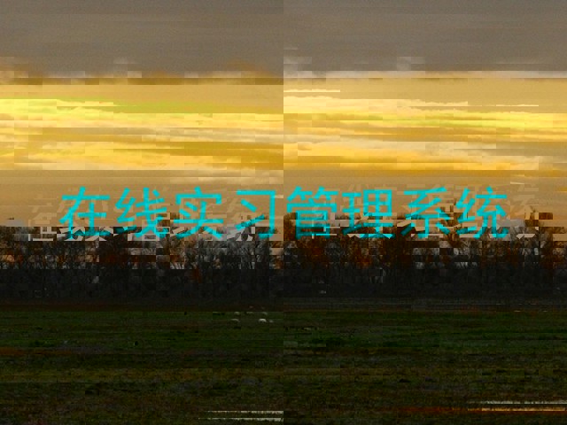 在线实习管理系统