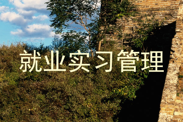 就业实习管理