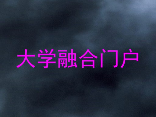 大学融合门户