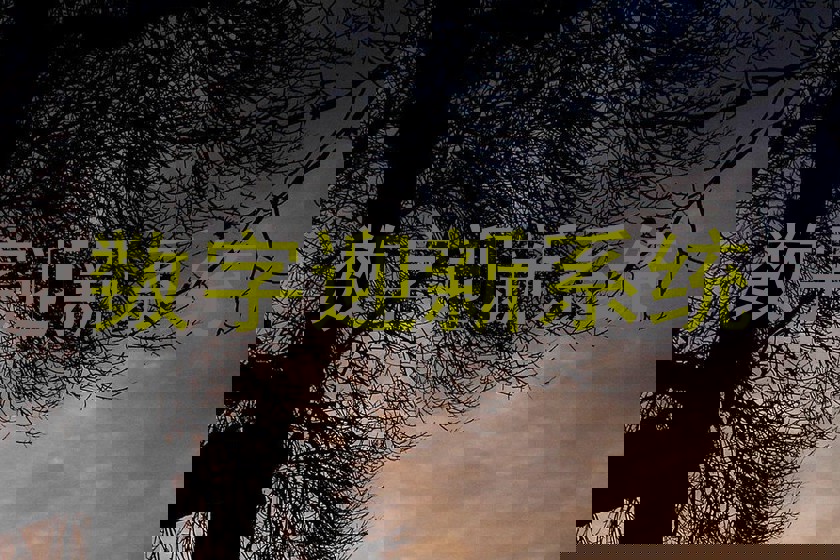 数字迎新系统