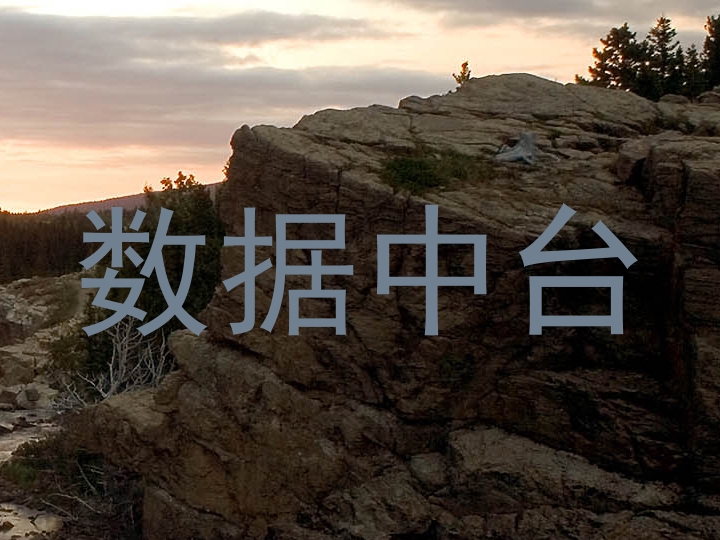 数据中台