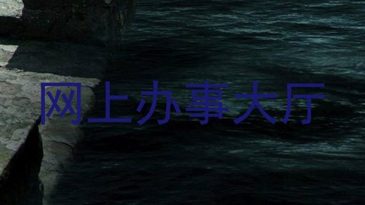 网上办事大厅