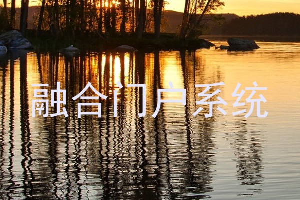 融合门户系统