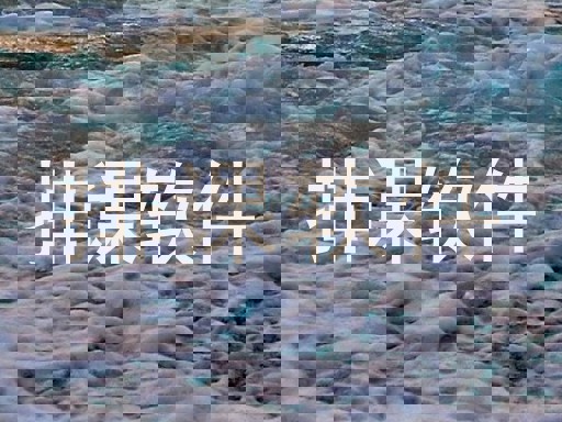 排课软件