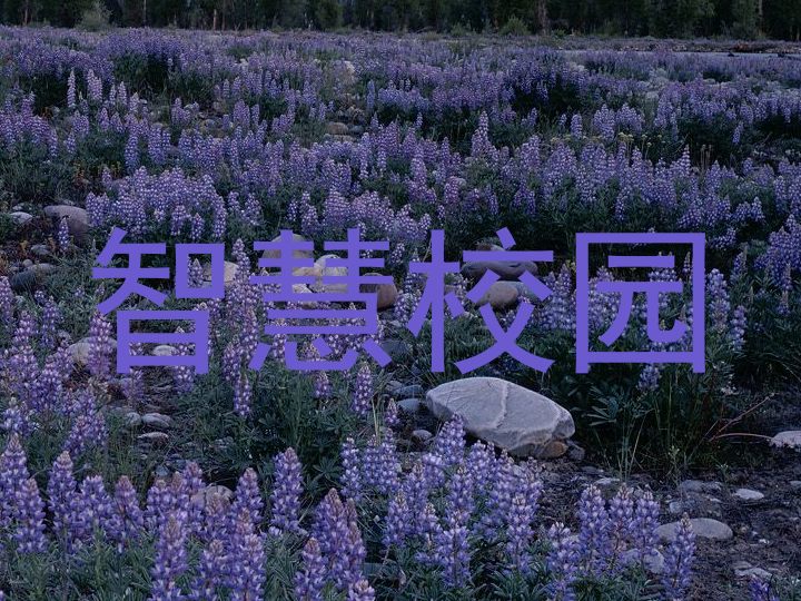 智慧校园