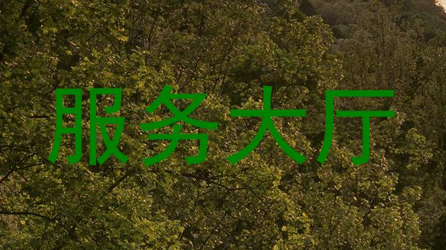 服务大厅