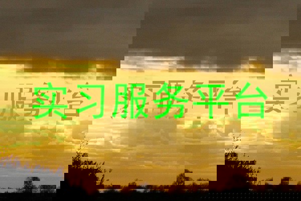 实习服务平台