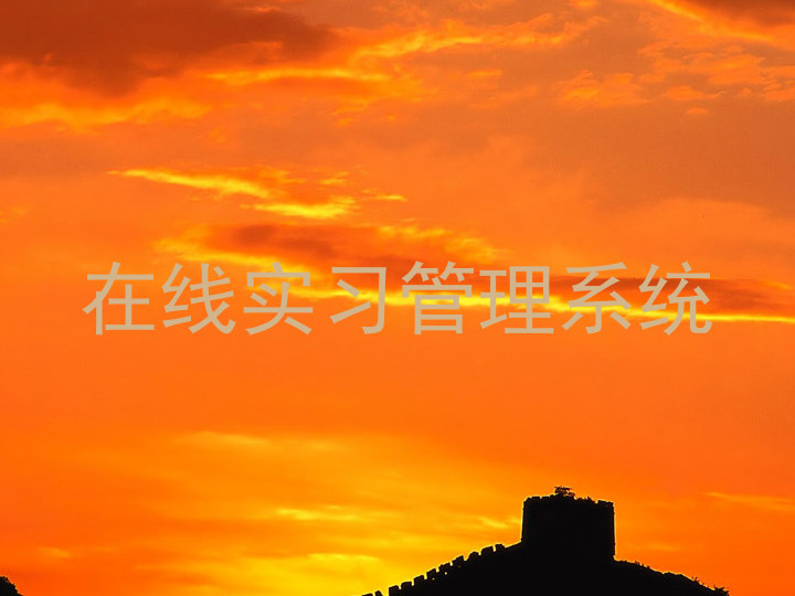 在线实习管理系统