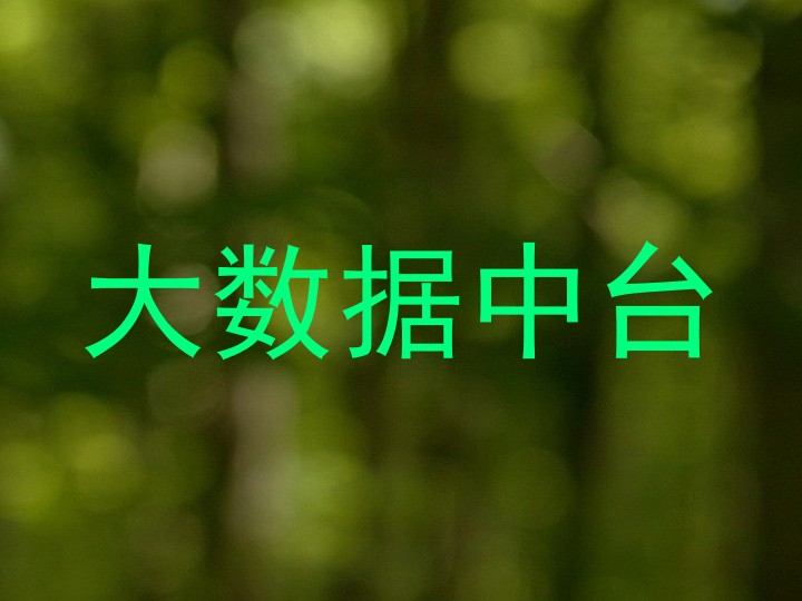 大数据中台
