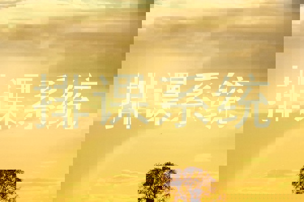 排课系统