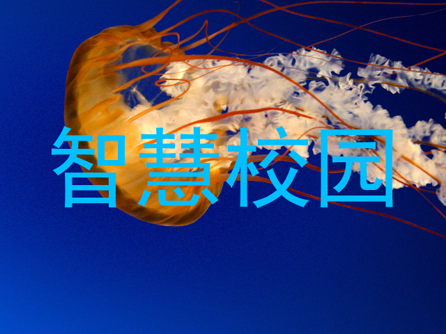 智慧校园