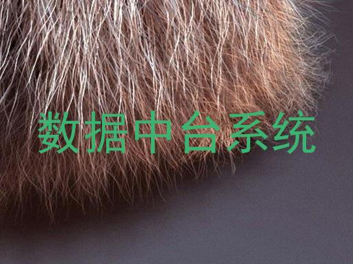 数据中台系统