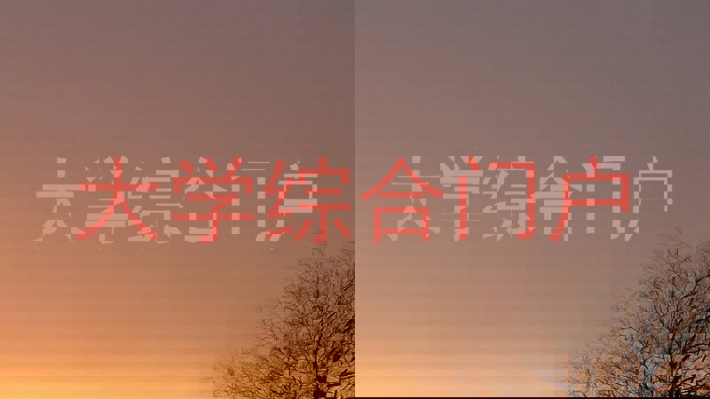 大学综合门户