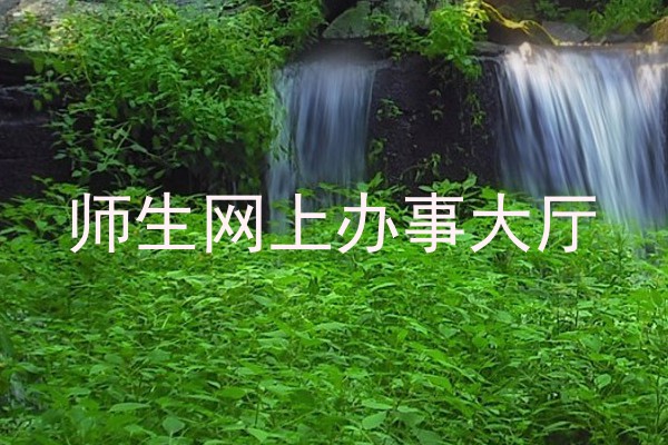 师生网上办事大厅