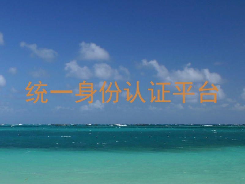统一身份认证平台