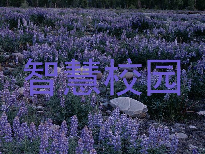 智慧校园