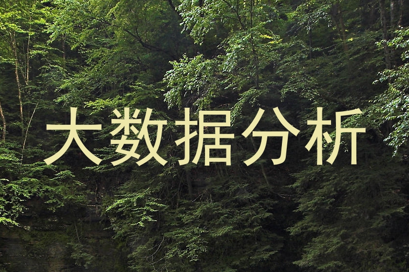 大数据分析