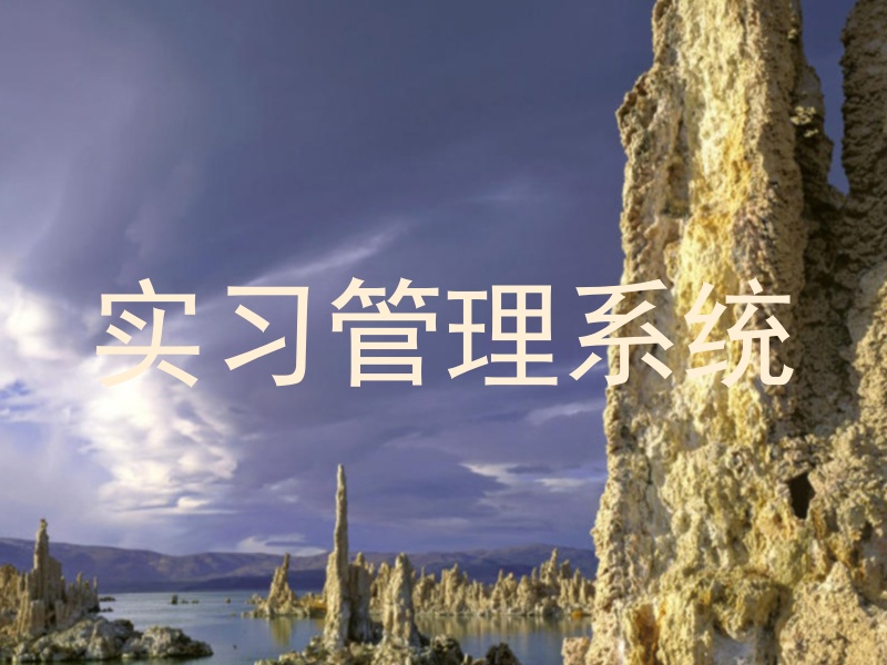实习管理系统