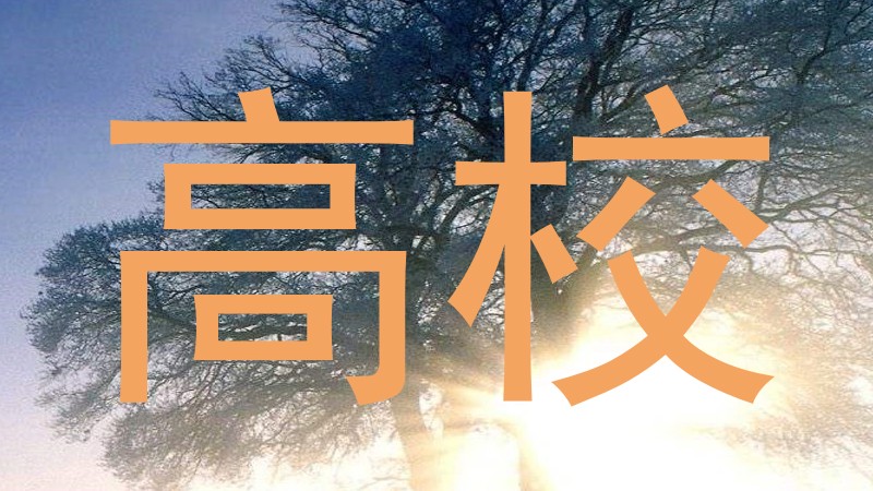 高校