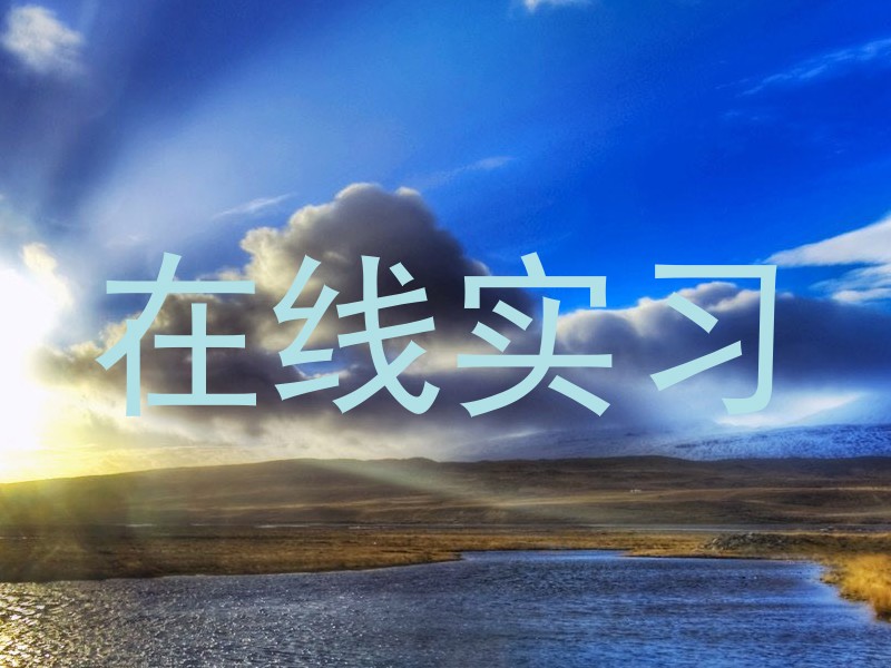 在线实习