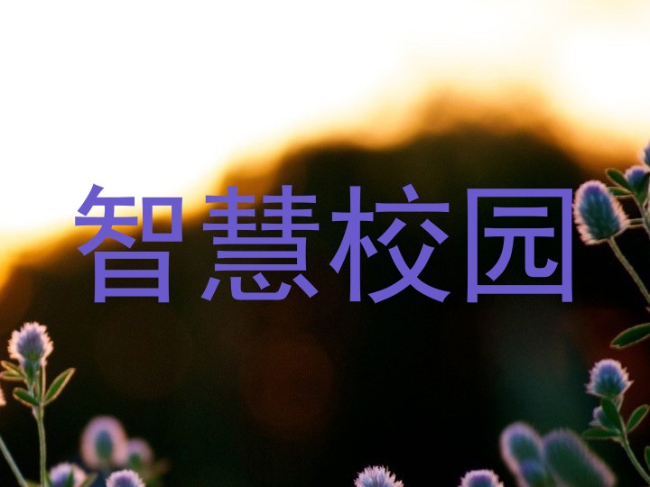 智慧校园