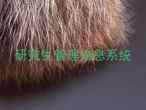 研究生管理信息系统